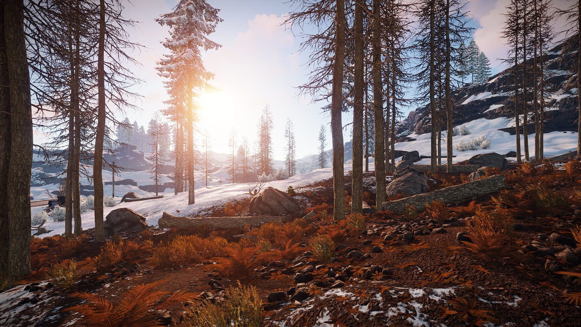 Rust screenshot 10